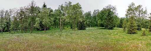 Haute-Fagnes Meadow © D. Stillingfleet.