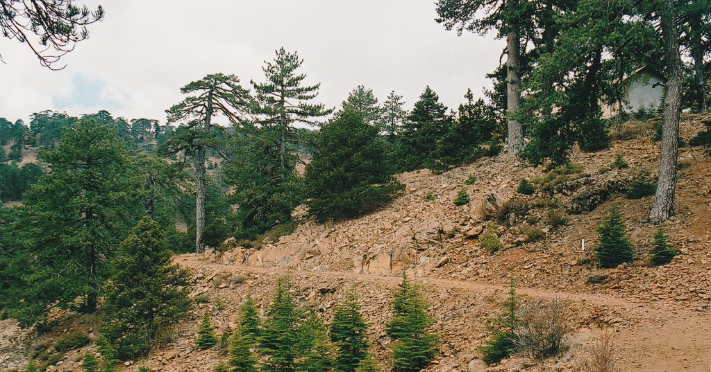 Atalante Trail