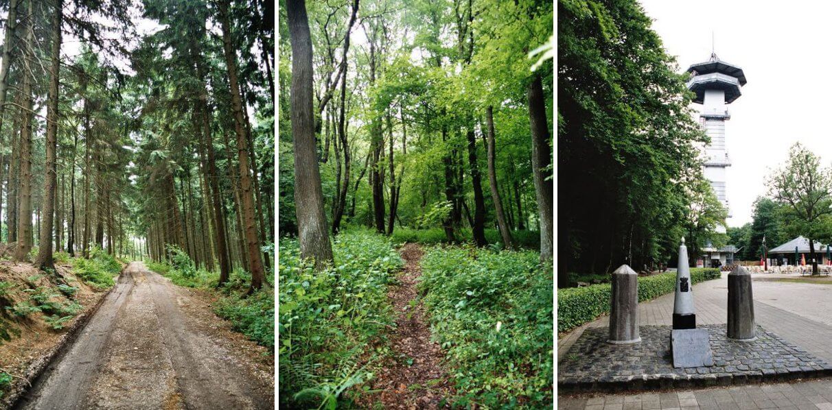 Woodland trails and summit marker of the Vaalserberg.